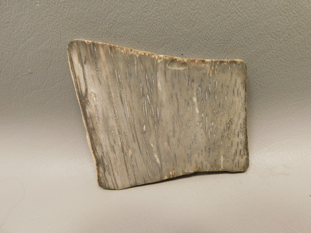 Picture 4 of 6