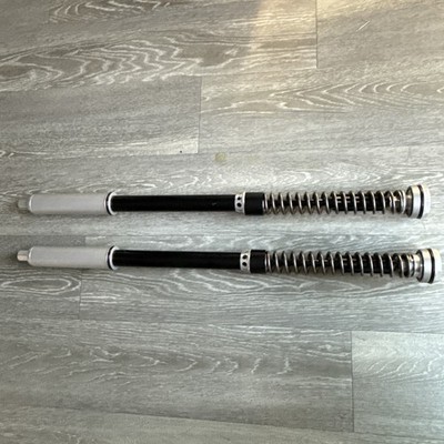 BMW S1000rr & M1000rr 2021-26 Standard Gabelpatronen OEM Gabeln, Ohlins, K-Tec