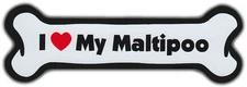 Dog Bone Magnet: I Love My Maltipoo | For Cars, Refrigerators, More