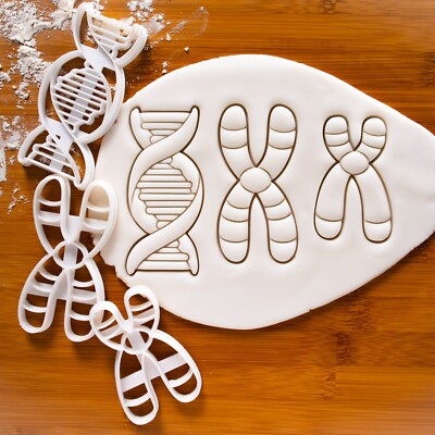 Set of 3 cookie cutters: Chromosome, Y, DNA | genetic molecule medical science