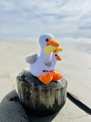 The Seagull Plush Toy with Baby Wildwood NJ - NEW 2023 | eBay