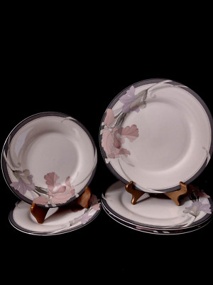 (5) pcs NORITAKE Cafe Du Soir NEW DECADE(3) 10.5'' Dinner Plates (2) 8.25'' Salads