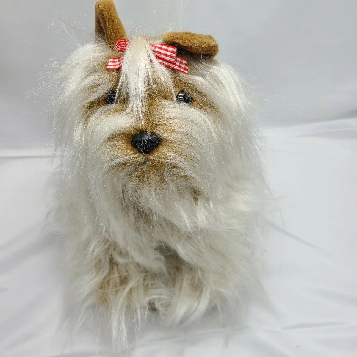 Ebay yorkie hotsell puppies for sale