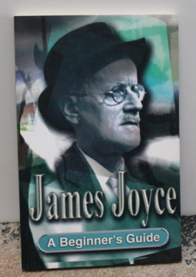 James Joyce: A Beginner's Guide, paperback NEW