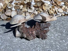 2 SEA TURTLE ON DRIFTWOOD ROOT BASE HAND CARVED WOOD NAUTICAL