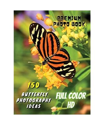 150 BUTTERFLY PHOTOGRAPHY IDEAS - Professional Stock Photos And Prints - Full Co