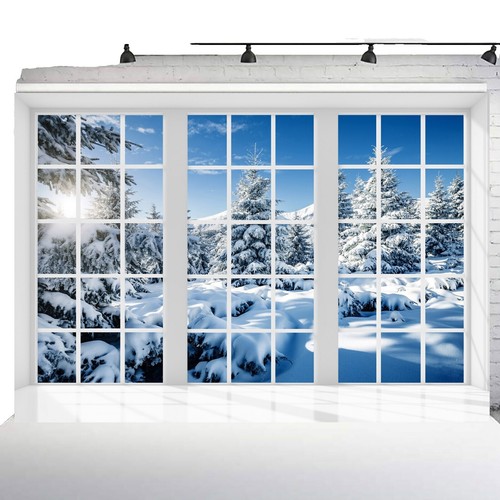 10'x20' CP Indoor Stage Hall Scenic Microfiber Fabric background