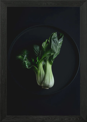 Pak choi Framed Wall Art Poster Canvas Print Picture
