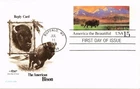 Dr Jim Stamps 15c America The Beautiful First Day Issue Card Artmaster Cachet