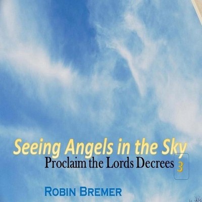 Seeing Angels in the Sky: Proclaim The Lords Decree by Robin Bremer (English) Pa