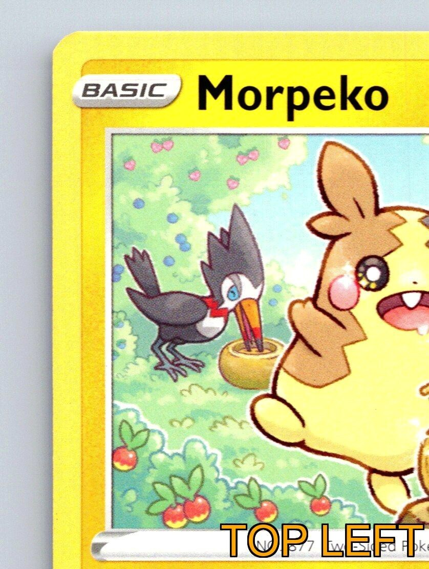 Morpeko HP 80 Thunder Shock Ability Rarity Yellow Pokémon Card | eBay
