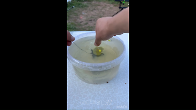 Technoplankton Plankton Lockfutter Marmorkarpfen Graskarpfen Karpfen Kder  | eBay
