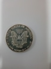 Moneta da 1 dollaro in argento per collezionisti