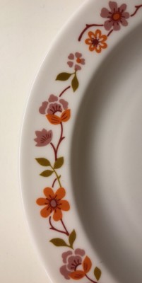 Lot De 9 Petites Assiettes Arcopal Vintage - France - Ø18,5 Cm - Motif Fleurs Orange