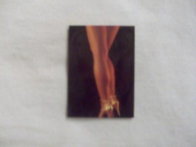 RARE 1996 PIN UP FACTORY IMAGE 2000 VIDEO CATALOG  PROMO CARD TPF-14
