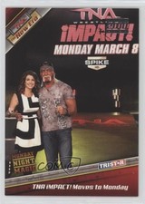 2010 TRISTAR TNA The New Era Silver 14/30 Hulk Hogan #81 n1u