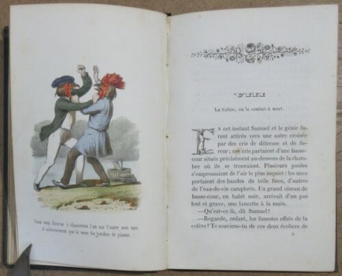 LOUISE LENEVEUX LES ANIMAUX PARLANTS 1849 12 PLANCHES COULEURS DE LOUIS LASSALLE - Picture 4 of 12
