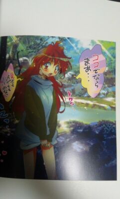 Rui Araizumi Slayers Character Designer's Fan Doujinshi C96 Very