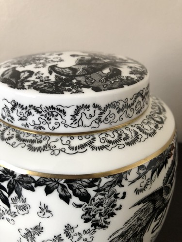 BLACK AVES Royal Crown Derby Ingwerglas 7" hoch Made in England wunderschön - Bild 4 von 12