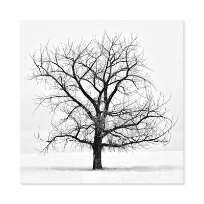 Einsamer Baum Winter Frost Schnee schwarz weiß Foto großer Wandkunstdruck quadratisch 24 x 24 Zoll
