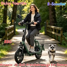 48V 13AH Mit Straßenzulassung 12" Elektroroller E-Scooter TWOFISH M5PRO …