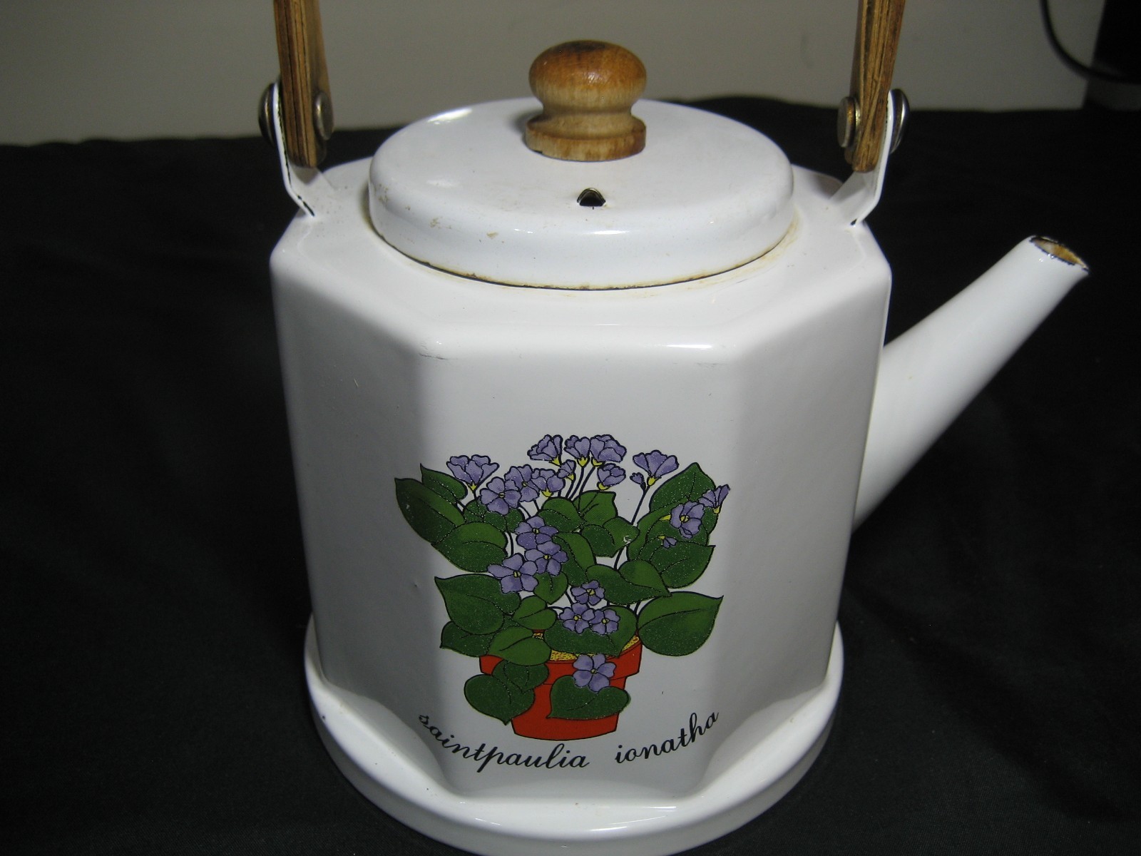 1979 M KAMENSTEIN AFRICAN VIOLET SAINTPAULIA IONATHA ENAMELWARE TEA POT KETTLE