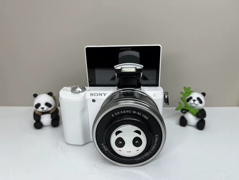 Sony Alpha a5100 ILCE-A5100 24.3 MP Mirrorless Camera(Sony E 16-50mm Lens)