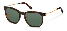 Rodenstock R3347 A150 havana, gold 55/18/145 Men's Sunglasses