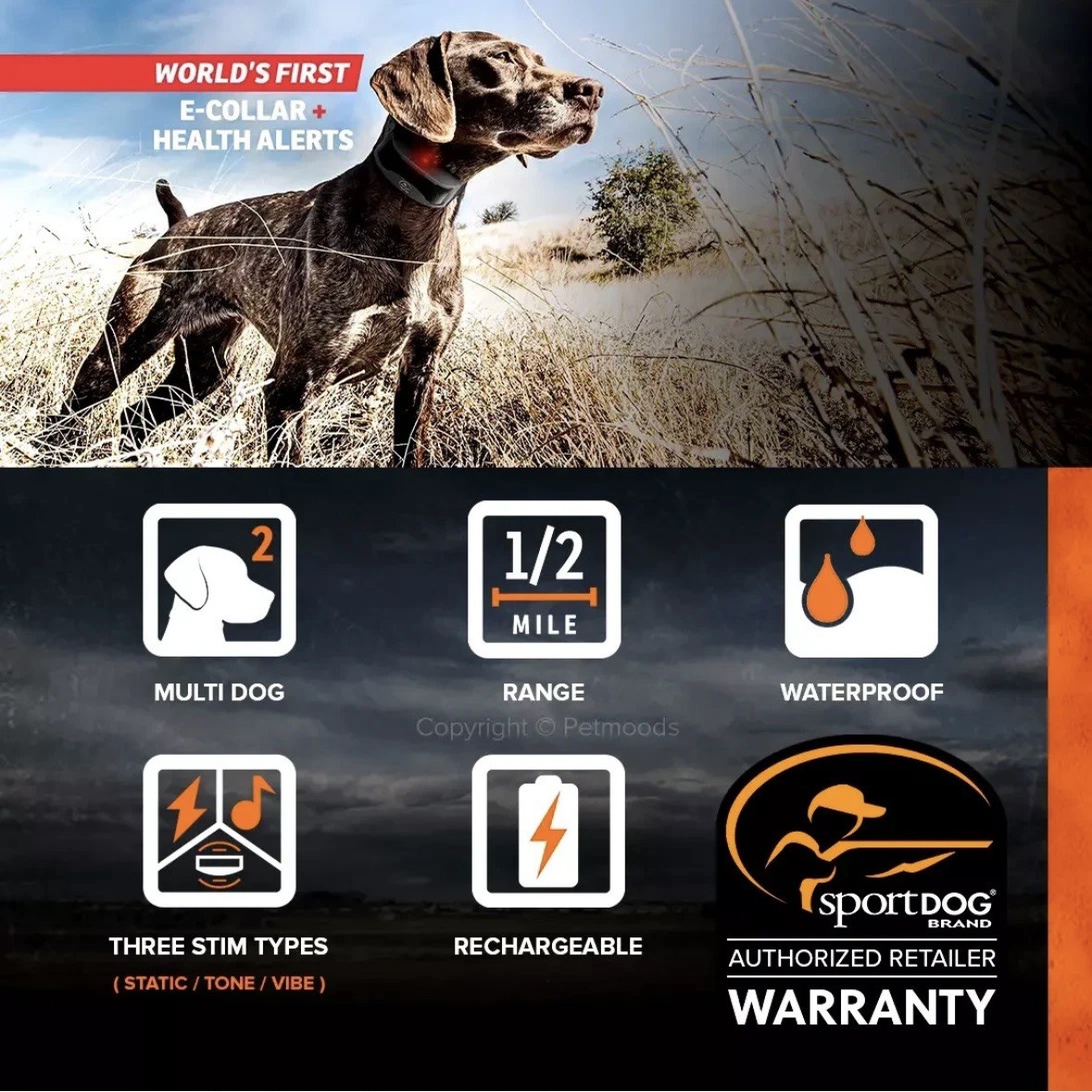 PRESALE SportDOG 825 825FS FIELDSENTINEL Remote Trainer w/ Health Alerts-PRESALE