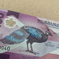 Peacock Whale 2025 Philippines 100 Piso New Polymer Banknote Filipino Currency