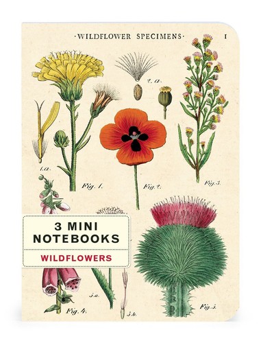 Cavallini - 3 Mini Notebooks - Wildflowers - Lined, Blank & Graph Interiors - Picture 4 of 6
