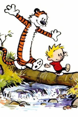 Calvin und Hobbes gerahmter Leinwand-Wandbilddruck - Kinder Cartoon Bill Watterson - Bild 3 von 9