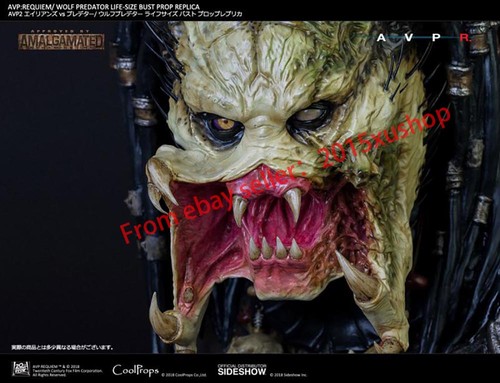 Sideshow × CoolProps 903360 Wolf Predator Life Size Bust 1/1 Scale Model Statue - Picture 15 of 17