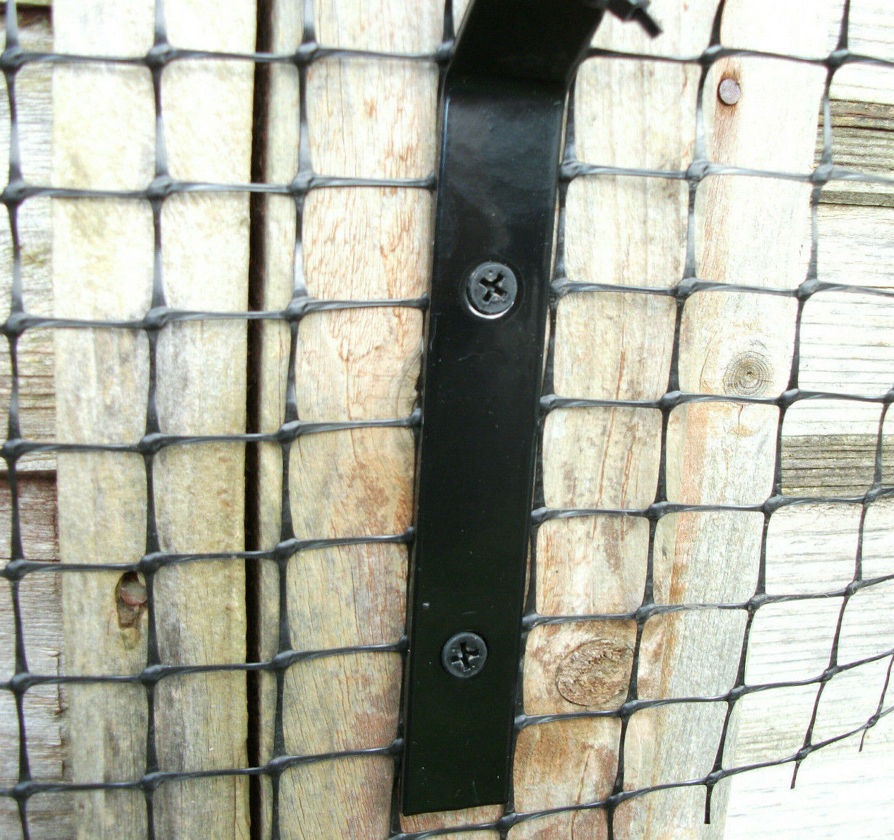 Picture 11 of 11