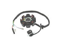 Stator Lichtmaschine GY6 50Ccm 8 Spulen FüR Jonway Kreidler Pegasus Peugeot Uvm.