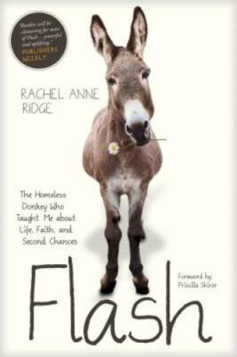 Flash: The Homeless Donkey Who Taught Me about Life, Faith, and Second Ch - GOOD
