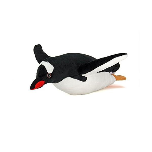 Real Stuffed Gentoo penguin Swimming COLORATA Plush animal F/S w/Tracking# J JP