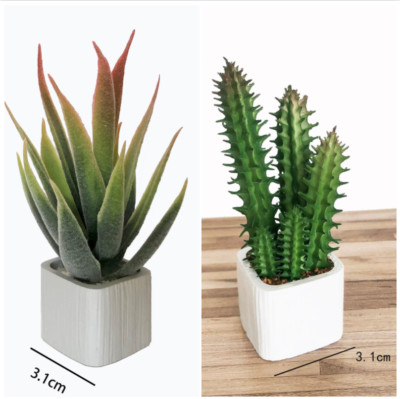 1/6 Scale Dollhouse Miniature Cactus Aloe Vera Flowerpots Potted Plants Garden