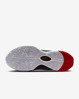 Nike LeBron 21 Prime 93 EP Basketball shoes HQ3479-001 Unisex