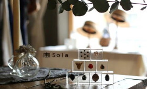 Sola Cube Nigella Orientalis Acrylic Herbarium Cube 40mm Japan - Picture 2 of 11