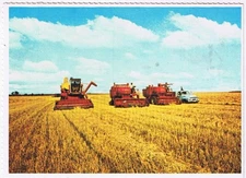 Postcard Harvest Time In Saskatchewan Prairies Gathering Wheat
