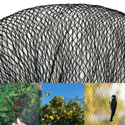 Nylongewebe Schützendes Netz Schwarz Schützende Gartengeräte Teichnetze - Bild 1 von 48