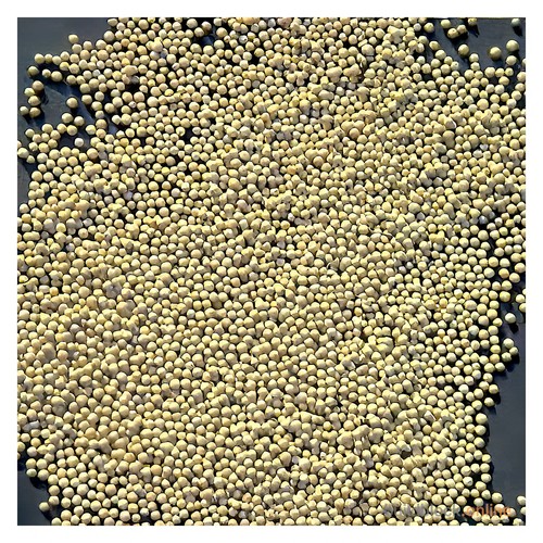 Reusable Premium Grade Desiccant Molecular Sieve Camera Silica Gel Moisture Damp