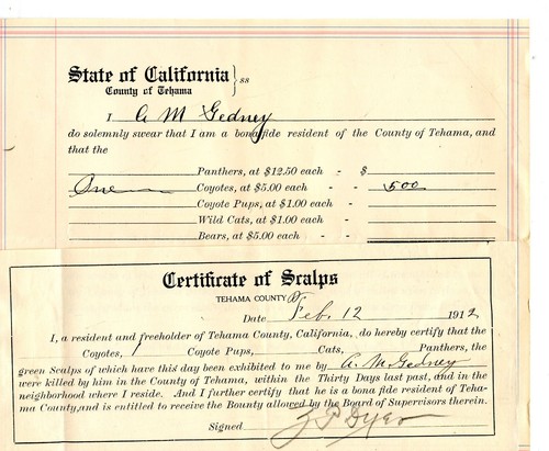 1912 Historical SCALP BOUNTY document Tehama co. RARE EPHEMERA FRAMEABLE