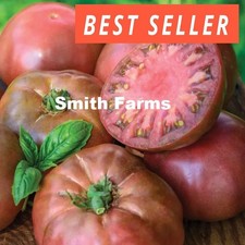 50 Seeds Black Krim Tomato Hybrid Juicy Easy to Grow Vegetable Garden