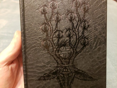 The Devil's Dozen: Thirteen Craft Rites of the Old One(Black Edition/1st... - Picture 5 of 24