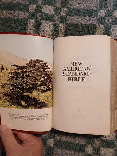 1977 Holman New American Standard Bible Paragraphed Leather Red Letter - Picture 5 of 11