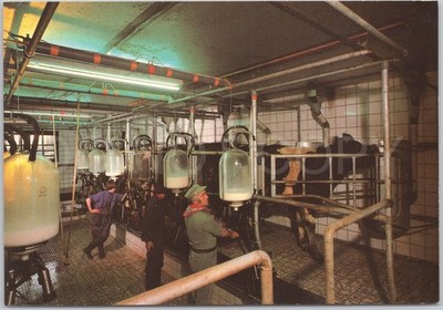 Amstelveen Vintage Postkarte Käse Bauernhof Niederlande