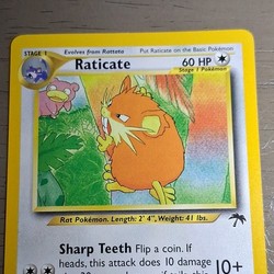 Raticate 06/18 Southern Islands Promo