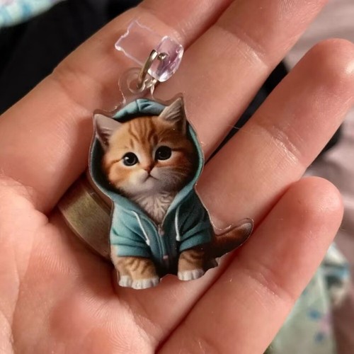 2D Acrylic Cat Phone Dust Plug Dust Plug Pendant Type-C Interface - Photo 8 sur 11